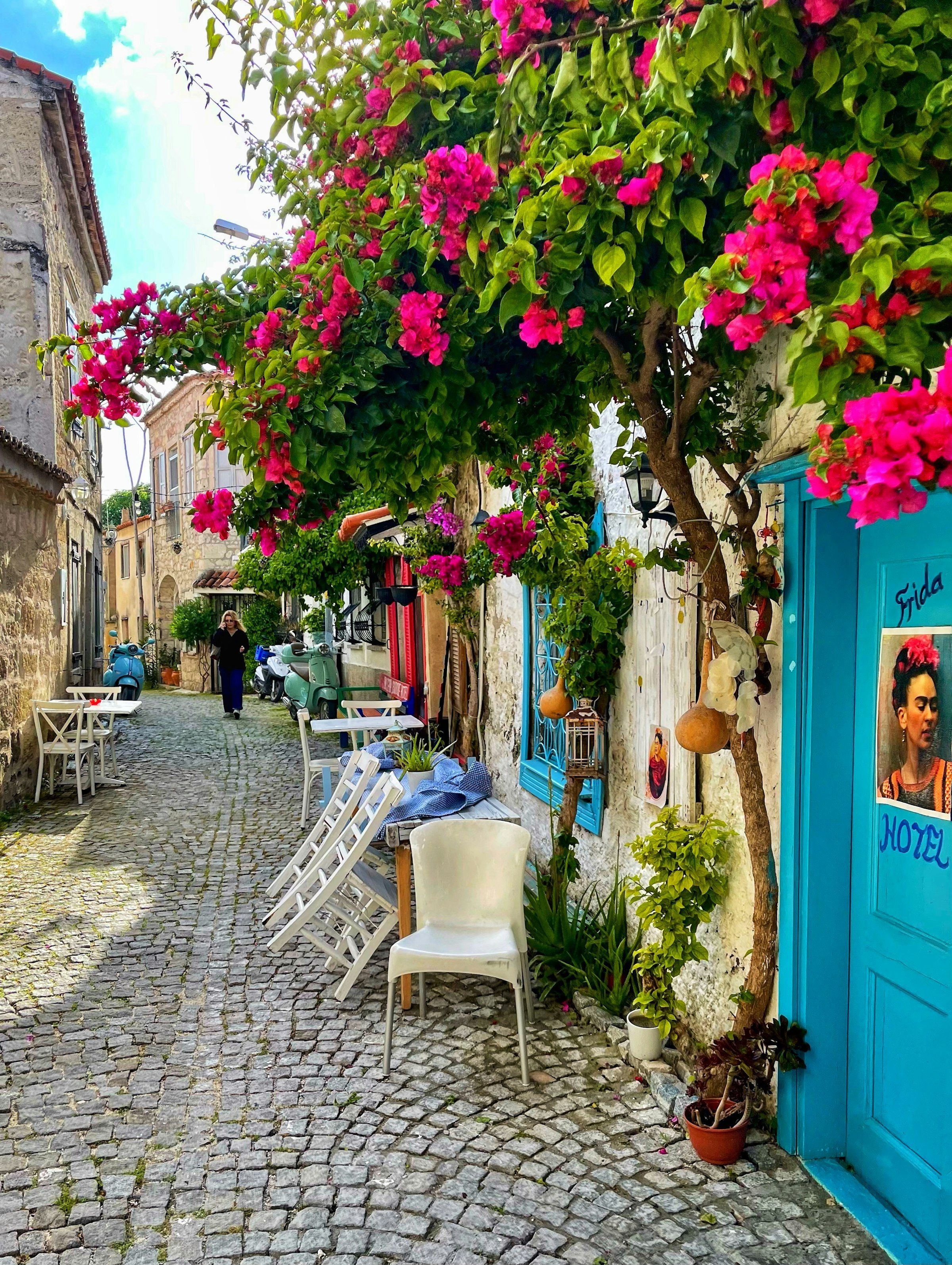 Bougainvillea over a narrow café street