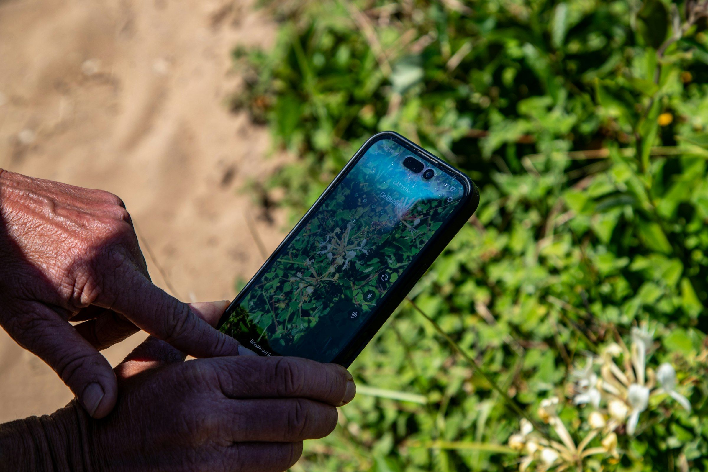 Açık havada uydu haritası gösteren akıllı telefonu tutan bir el